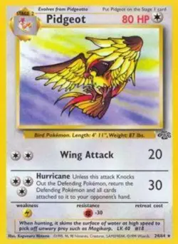 Pidgeot - 24/64 - Rare - Unlimited Edition DMG, English Pokemon Jungle - Image 1