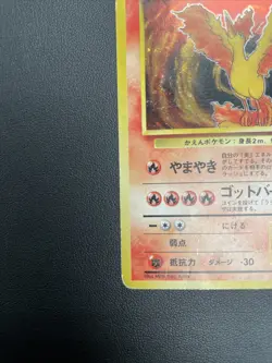 Rare Japanese Pokemon Card Moltres No. 146 Fossil Holo SWIRL - Collectors Item - Image 2