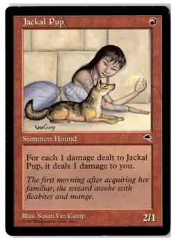 MTG Jackal Pup - Tempest Heavily Played English - Image 1