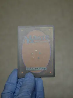 Magic the Gathering: Basking Rootwalla - Torment, FOIL (EX+) - Image 4