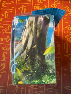 POKEMON CENTER JAPAN POPPY & TINKATON DECK BOX NEW - Image 3