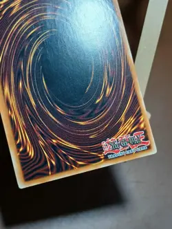 HP Yugioh Evil Thorn - RGBT-EN009 - Common - 1st Edition - Image 4