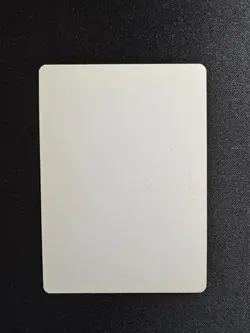 SIGNED MTG Bryon Wackwitz Artist Proof - Shatter (Ice Age, Italian) - Image 2