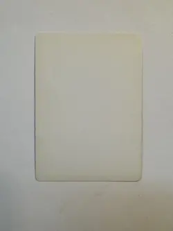 SIGNED MTG Bryon Wackwitz Artist Proof - Shatter (Ice Age, Italian) - Image 4