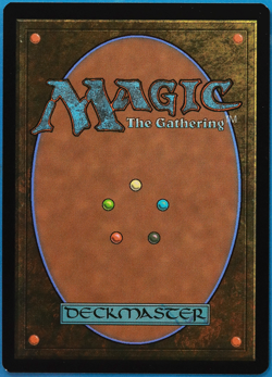 Raise the Palisade (Secret Lair Promo) FOIL MINT MAGIC CARD (503396) ABUGames - Image 2