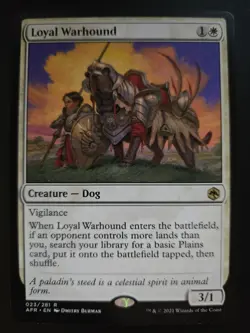Loyal Warhound NM Adventures in the Forgotten Realms MTG FREE SHIPPING - Image 1