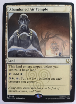MTG Magic The Gathering - Abandoned Air Temple - TLA (#263) REG NM - Image 1
