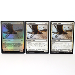 Tempest Hawk - LOT OF 5 - MTG Tarkir: Dragonstorm - NM - Image 1