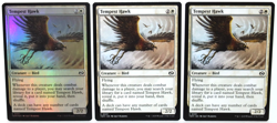 Tempest Hawk - LOT OF 5 - MTG Tarkir: Dragonstorm - NM - Image 2