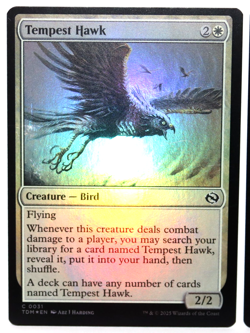 Tempest Hawk - LOT OF 5 - MTG Tarkir: Dragonstorm - NM - Image 3