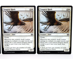 Tempest Hawk - LOT OF 5 - MTG Tarkir: Dragonstorm - NM - Image 4