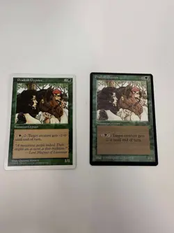 Magic the Gathering Pradesh Gyps Legends 1994 + Fifth Edition Gyp Both NM! - Image 1