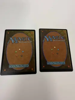 Magic the Gathering Pradesh Gyps Legends 1994 + Fifth Edition Gyp Both NM! - Image 2