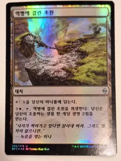 Blighted Steppe - Korean FOIL Battle for Zendikar - Magic the Gathering MTG Nice - Image 1