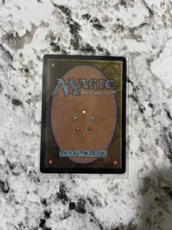 MTG - The Cabbage Merchant - Extended Art - Foil - Avatar: The Last Airbender - Image 2