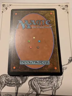 MTG Sword of Body and Mind EX/VG - Image 2