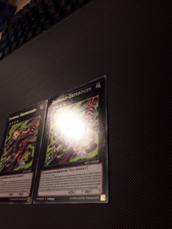 Yu-Gi-Oh! 2x Zoodiak-Eberbogen, RATE-DE054, Rare, 1. Auflage, Deutsch, NM/Good - Image 4