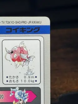 Magikarp No.129 Bandai Carddass File Japanese Pokemon Card TCG - Image 5