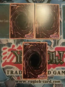 3x LP-MP Solidarity ANPR-EN054 (rare) Unlimited Edition - Image 2