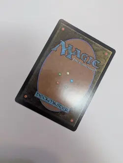 MTG - Sun Warriors - Avatar: The Last Airbender NM/M Condition - Image 3