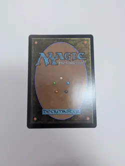 MTG - Sun Warriors - Avatar: The Last Airbender NM/M Condition - Image 4