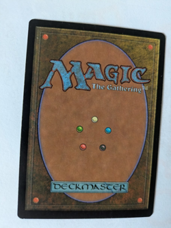 Survival of the Fittest Exodus MTG NM Free shipping with tracking - Image 2