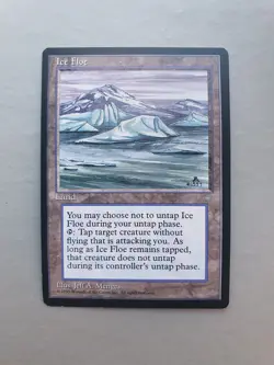 Ice Floe, MTG Ice Age (1995), Uncommon Land NM - Image 1