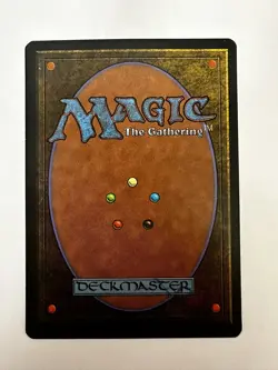 Merchant Scroll *Homelands* MTG Magic the Gathering - Image 2