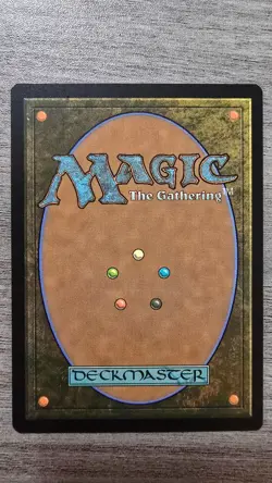 x4 Plains (Foil) #247 Edge of Eternities MTG NM - Image 2