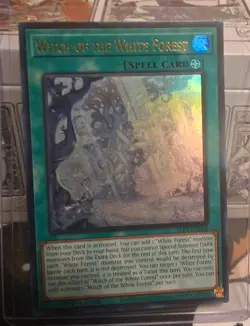 Yugioh Witch of the White Forest ALIN-EN058 Ultra Rare 1st Edition NM - Image 1
