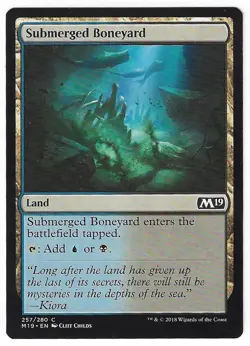Submerged Boneyard - MTG Magic the Gathering - Near Mint !!! - Image 1