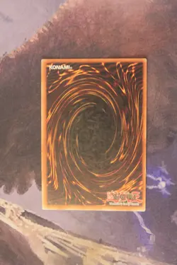 Yugioh! Amazoness Swords Woman - DR1-EN116 Dark Revelation Volume 1 Unlimited LP - Image 2