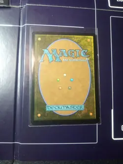 APPA, STEADFAST GUARDIAN Mythic Rare Avatar: The Last Airbender Near Mint MTG - Image 3