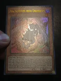 Yu-Gi-Oh! ULTRA RARE HOLO CARD RED BLOSSOMS FROM UNDERROOT DUDE-EN006 1ST NM - Image 2