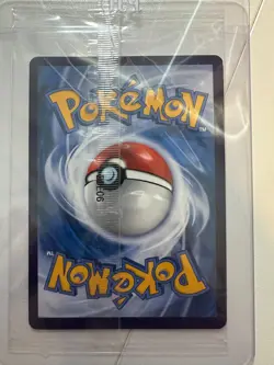 Pokemon TCG S-Chinese Scarlet & Violet Eiscue SV-P 025 Promo Holo US Seller - Image 4