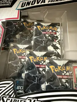 Pokemon Black Bolt & White Flare Unova Heavy Hitters Premium Collection - Image 3