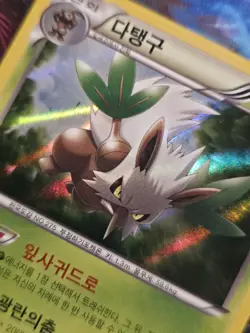 Shiftry 007/080 XY2 Wild Blaze 1st Edition Holo Rare Korean Pokemon Card - Image 2