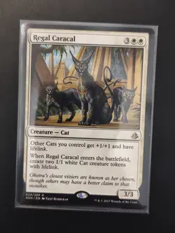MTG - Regal Caracal - Creature - Amonkhet - 024/269 - Rare - Image 1