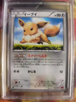 Pokemon Card Eevee Evoli Rising Fist 1. Edition XY 2014 Japanese PSA 10 - Image 3