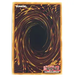 Mother Grizzly NM 1st Edition Secret Rare LCYW-EN237 Yu-Gi-Oh! TCG See Photos - Image 3