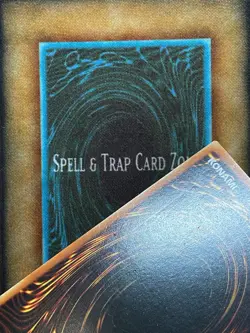 Yugioh Neo-Spacian Dark Panther POTD-EN005 POTD-DE005 Ultimate Rare LP GERMAN - Image 3