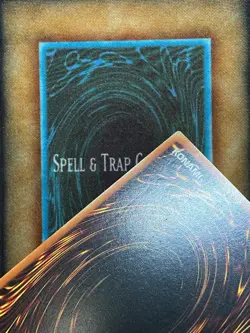 Yugioh Neo-Spacian Dark Panther POTD-EN005 POTD-DE005 Ultimate Rare LP GERMAN - Image 4