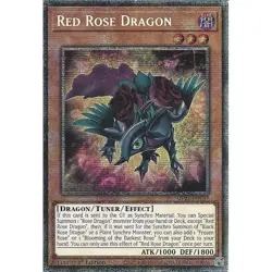 Yu-Gi-Oh Red Rose Dragon MP25-EN037 Starlight Rare 1st Edition - Image 1