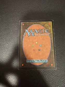 Worldly Tutor Mirage Regular - Image 3