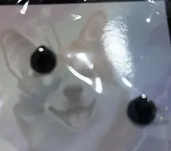 MagicCon Atlanta EXCLUSIVE PIN - ARTIFACT CREATURE - DOG Chrome Companion NEW - Image 5