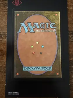 Sol Ring ✨ Borderless Rainbow FOIL ✨ MTG NM (0019) Encyclopedia Secret Lair - Image 3