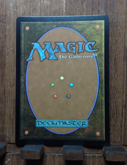 MTG Dawn of a New Age ( FOIL POSTER ) Lord of Rings / Magic the Gathering NM❤ - Image 4