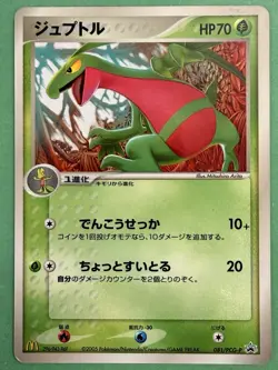 Japanese - Promo - Grovyle - 081/PCG-P - 2005 - Pokemon Card - McDonald's - - Image 1