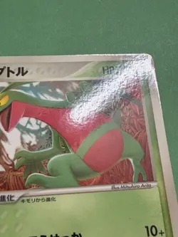 Japanese - Promo - Grovyle - 081/PCG-P - 2005 - Pokemon Card - McDonald's - - Image 4