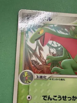 Japanese - Promo - Grovyle - 081/PCG-P - 2005 - Pokemon Card - McDonald's - - Image 5